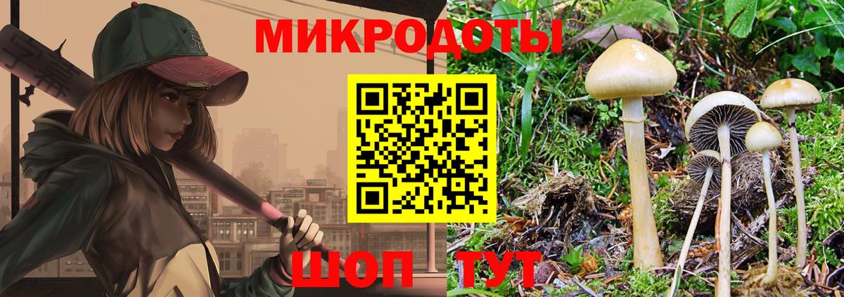 Галлюциногенные грибы Psilocybe Кировск