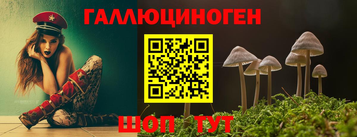 Кировск  цены наркотик  Вход с VPN  Галлюциногенные грибы мухоморы 